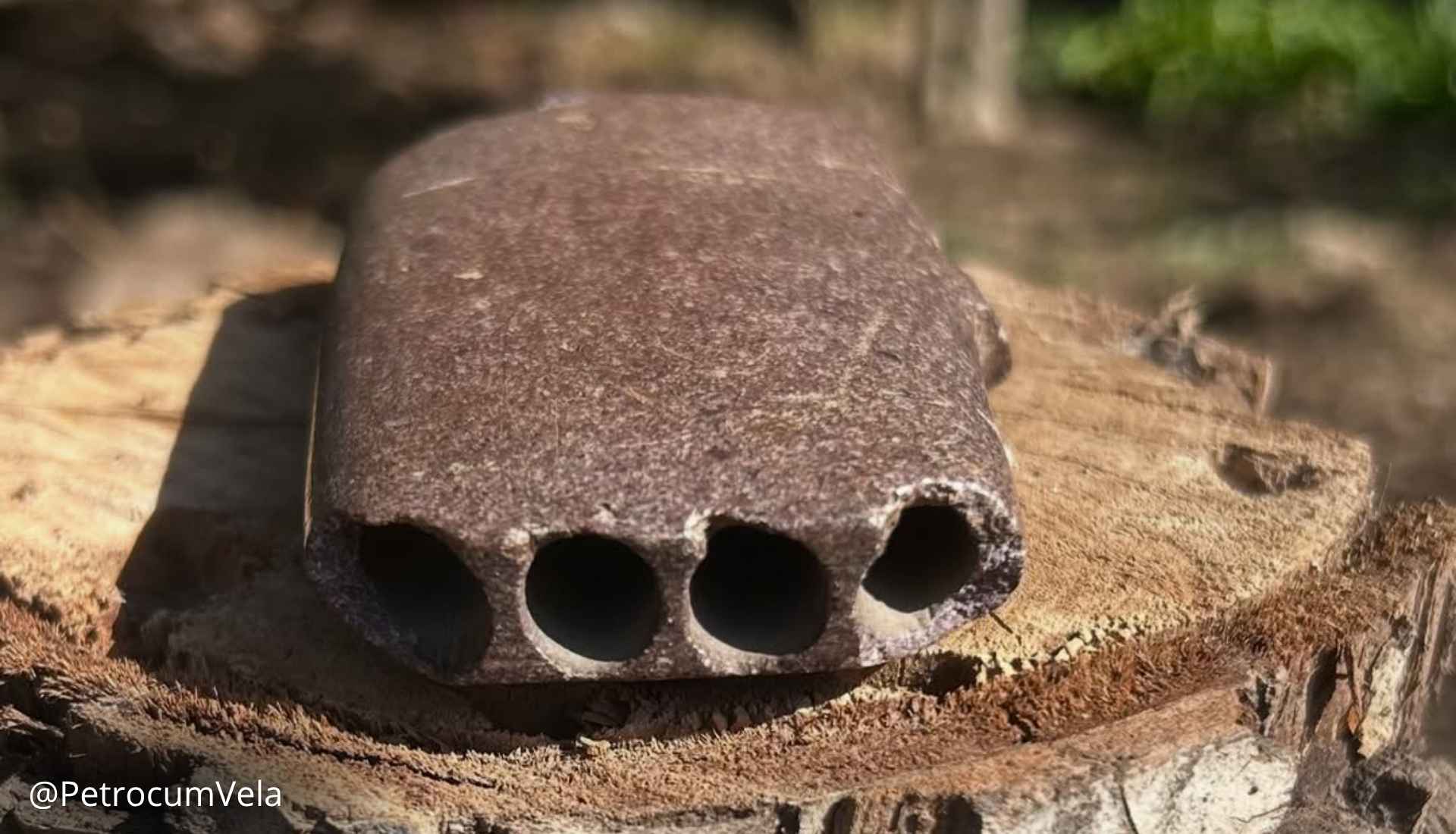 Un trozo de piedra que alguna vez hizo música: las antaras de Petorca