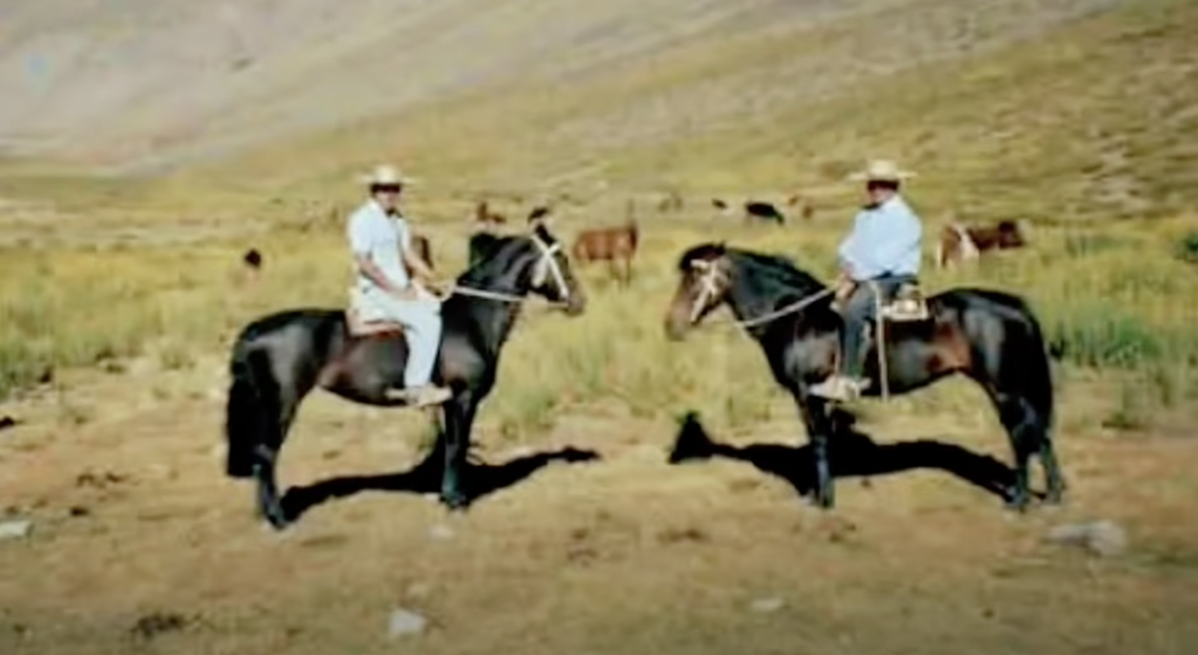 138 Fotos de Chincolco: un homenaje a nuestra historia